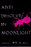 ants dissolve in moonlight