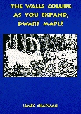 the walls collide as you expand, dwarf maple