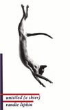 untitled (a skier)